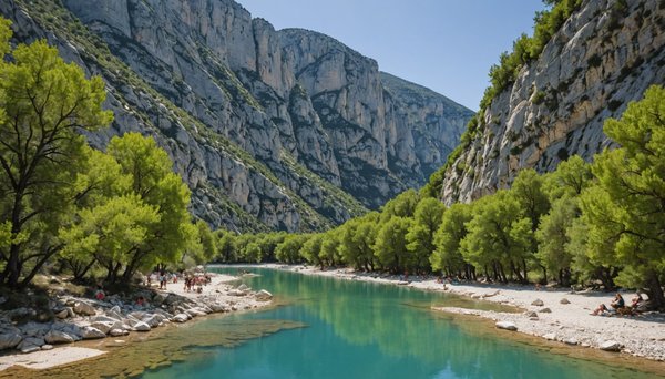 Découvrir la faune et la flore des gorges du verdon avec le camping terra verdon