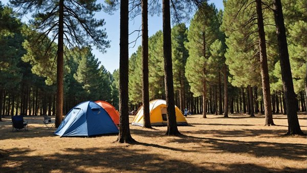 Organiser son séjour en camping à montalivet, entre nature et océan